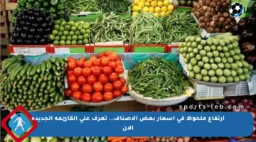 ارتفاع ملحوظ في أسعار بعض الأصناف.. تعرف على القائمة الجديدة الآن